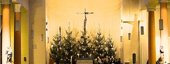 Wie kommen die Weihnachtsbäume in unsere Kirchen?